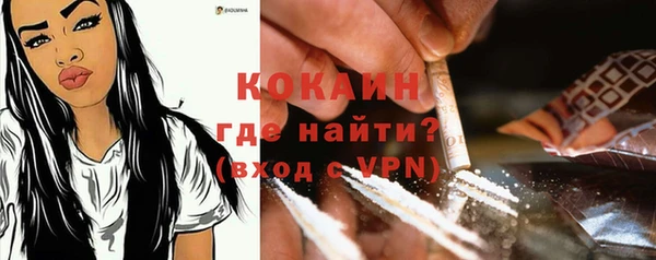 прущие крисы Белокуриха