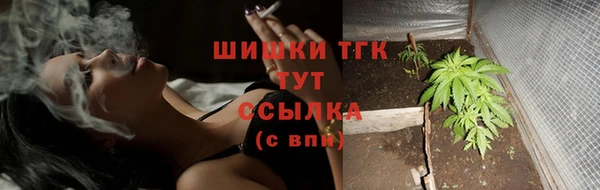 дживик Беломорск