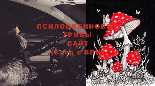 дживик Беломорск