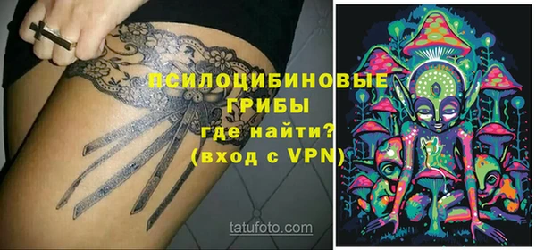 прущие крисы Белокуриха