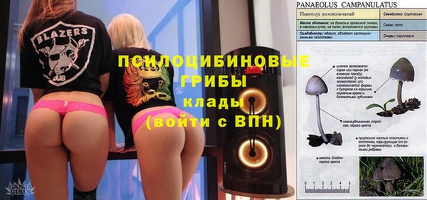 дживик Беломорск