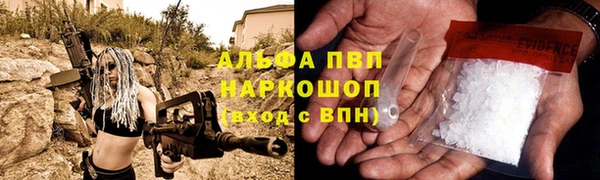 прущие крисы Белокуриха
