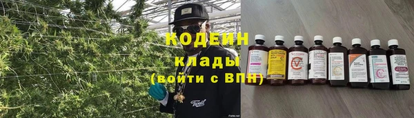 прущие крисы Белокуриха