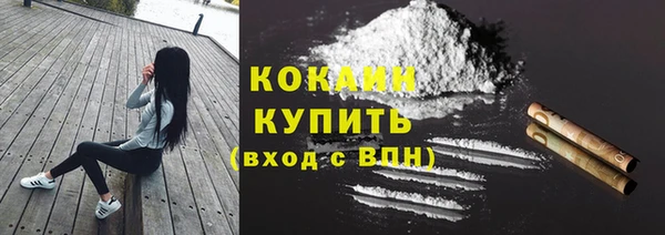 прущие крисы Белокуриха
